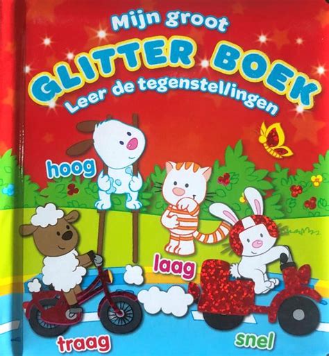 Mijn Groot Glitter Boek Leer De Tegenstellingen 9789460338588