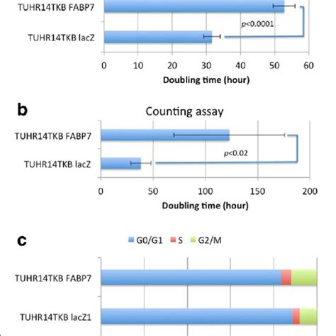 Effect Of Fabp On Cell Proliferation And Cell Cycle Of Tuhr Tkb