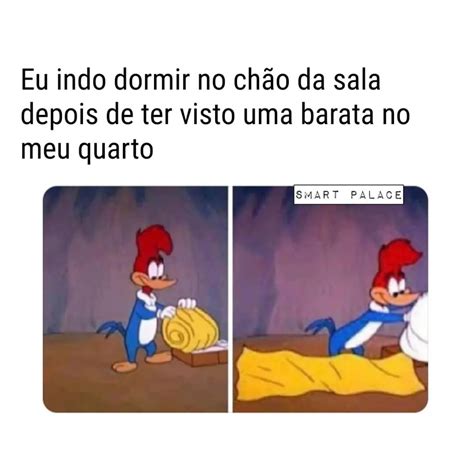 Eu Indo Dormir No Ch O Da Sala Depois De Ter Visto Uma Barata No Meu