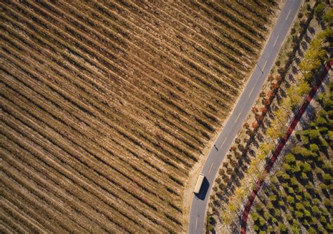 Agricoltura più green arriva la mappa dell impatto ambientale Mondo