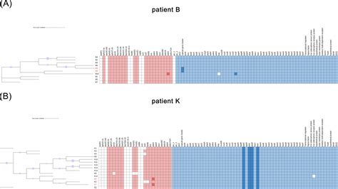 Genomic And Phenotypic Evolution Of Tigecycline Resistant Acinetobacter