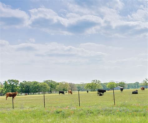 Farm Credit Bank Of Texas