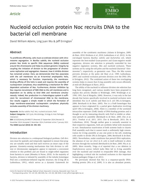 (PDF) Nucleoid occlusion protein Noc recruits DNA to the bacterial cell ...