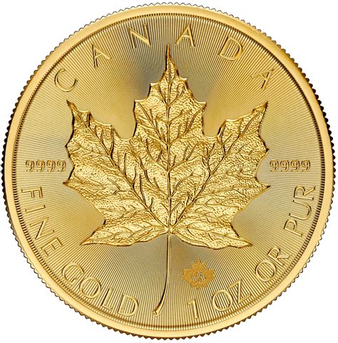 1 oz Silver Maple Leaf - 2024 - RCM - The Coin Hunter