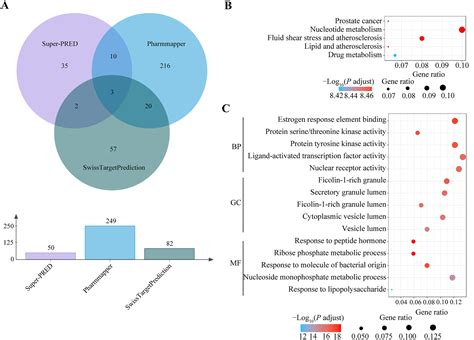 Exploring The Mechanism Of Genistein In Treating Hepatocellular