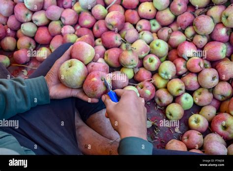 Kashmir apple hi-res stock photography and images - Alamy