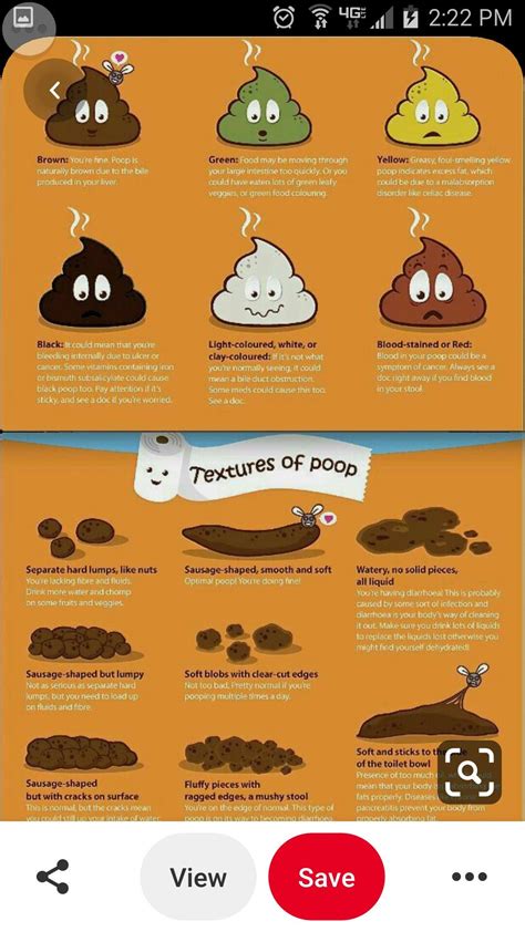 Color Of Feces Chart Exploring The Colorful World Of Poop A