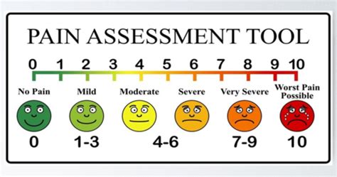 Test 1 Health Assessment Flashcards Quizlet