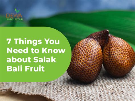 7 Things You Need to Know about Salak Bali Fruit - The Agrifresh