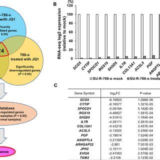 Identification Of Novel Molecular Targets And Mechanisms By Jq