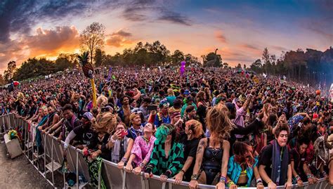 9 Facts About Lost Lands Music Festival Facts Net