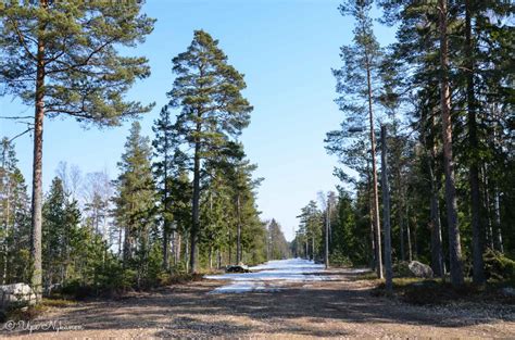 Kävellen Suomen halki 6 Lohja Nummela Pyhän Laurin kirkko ja