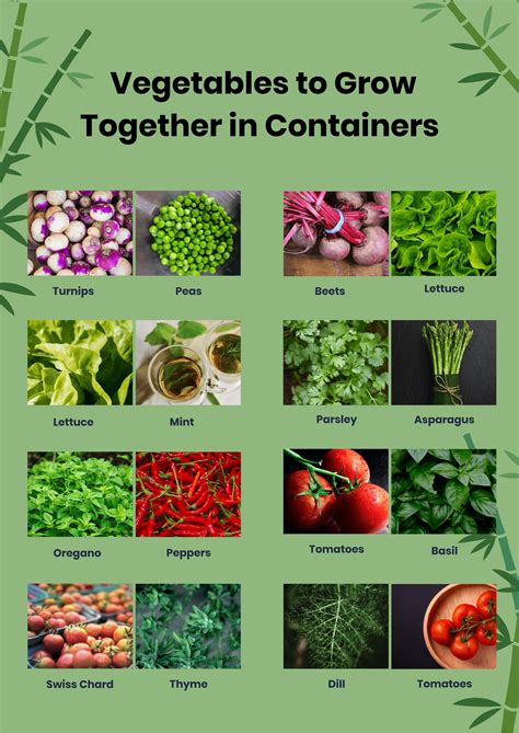 Container Companion Planting Chart in PDF, Illustrator - Download ...