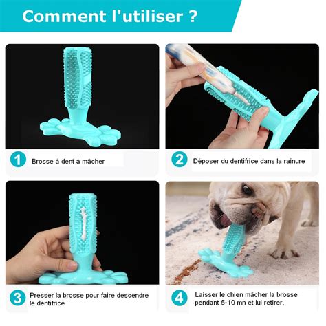 Jouet brosse à dents à mâcher pour chien