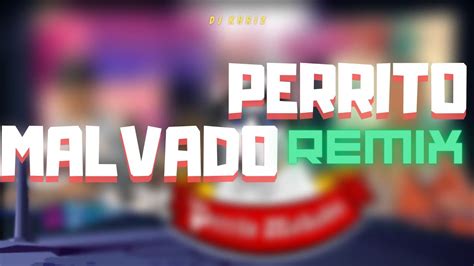 Perrito Malvado Remix Damas Gratis Ft L Gante Dj Khriz Youtube