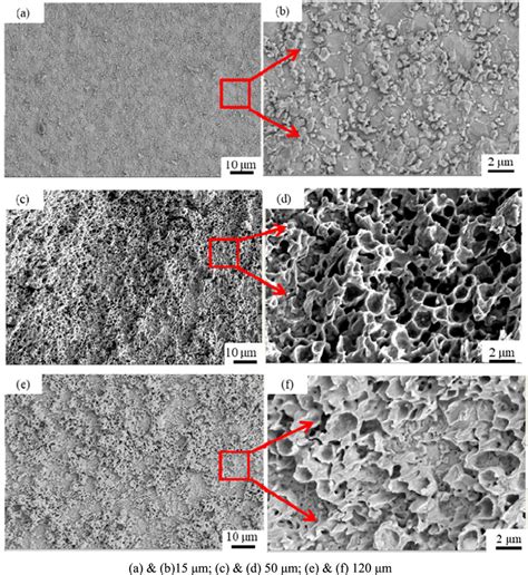 Sem Images Of Surface Fractures Of The Sintered Ag Joints With