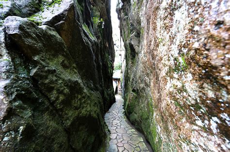 勝運の神が微笑む 阿賀神社 太郎坊宮 Leaf Kyoto