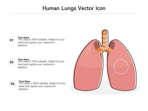 Human Lungs Vector Icon Ppt Powerpoint Presentation File Backgrounds Pdf