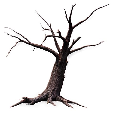 Download Dead Tree Landscape Png 05252024