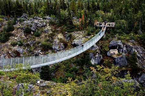 Yukon Suspension Bridge. | Free Photo - rawpixel