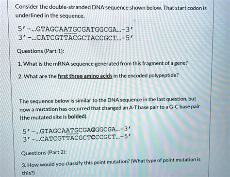 Consider The Double Stranded Dna Sequence Shown Below Solvedlib