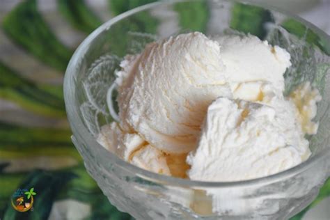 Gelato Alla Panna Senza Lattosio E Senza Gelatiera La Mia Oasi In Cucina