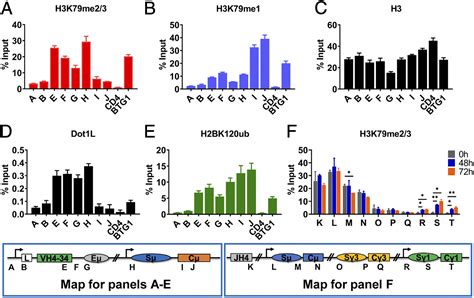 Role Of Dot1L And H3K79 Methylation In Regulating Somatic Hypermutation