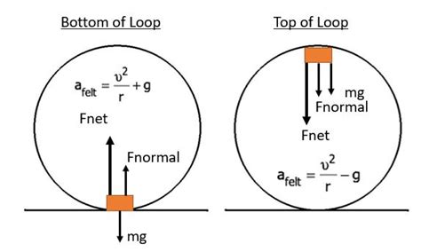 Centripetal Force Roller Coaster