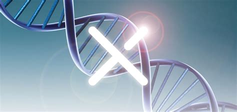 The 10th International Symposium On Dna Encoded Chemical Libraries X Chem