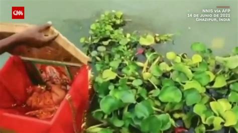 Encuentran A Una Bebé Recién Nacida Flotando En Una Caja En El Río