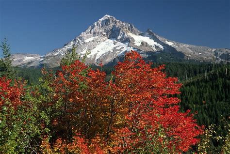 The Best Scenic Drives for Fall Colors in Oregon - Portland Living on ...