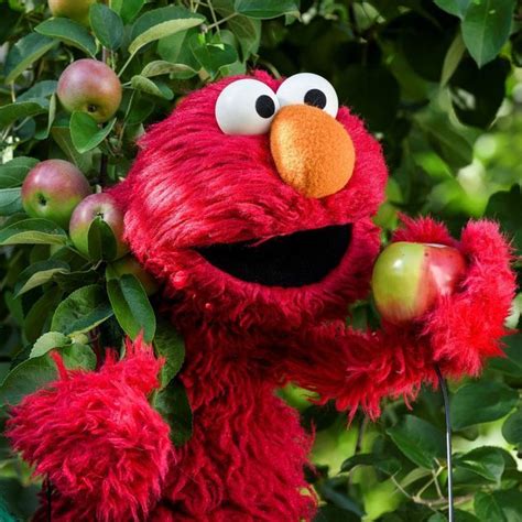 Elmo On Instagram Hi Everybody Its Elmo And This Is The Apple Of