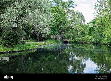 Peaceful Lake In Tiergarten Public Park In Summer Berlin Stock Photo