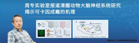 北京大学idg麦戈文脑科学研究所