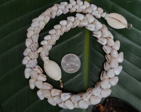 Puka Shell Necklace Puka Shell Lei Kauai Puka Shell Jewelry Rare Shells