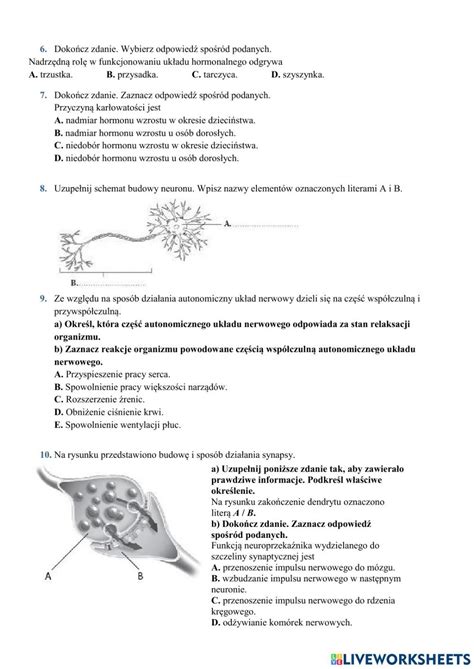 Klasa 7 dział 7 worksheet School subjects School Videos tutorial