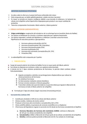 Histologia De Sistema Tegumentario FUNDAMENTOS DEL SISTEMA