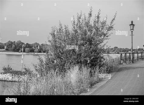 the city of Rees in germany Stock Photo - Alamy