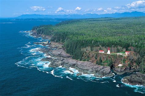 Sea Life Water Clarity Attract Divers To Vancouver Island Vancouver