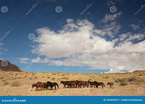 The Landscape Of The Mongolian Steppe Royalty-Free Stock Image ...