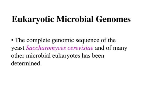 Ppt Chapter 15 Microbial Genomics Powerpoint Presentation Free