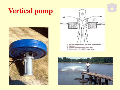 Ppt Introducton To Water Quality In Aquaculture Unit 41 Dissolved