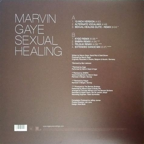 Marvin Gaye Sexual Healing The Remixes Wake Concept Store