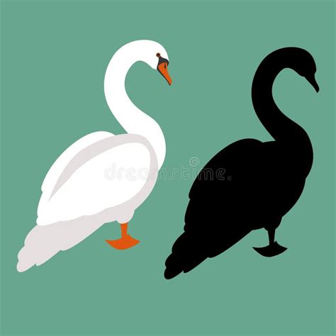 Dibujo Del Vector De La Silueta Del Cisne Negro Ilustración del Vector