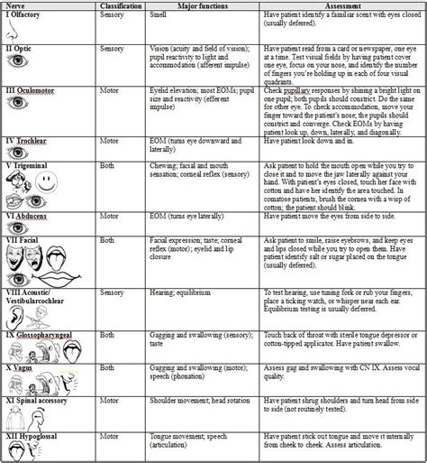 Nursing assessment, Nursing cheat, Nursing mnemonics