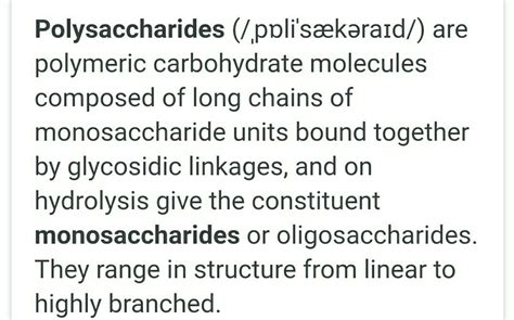 Polysaccharide Definition