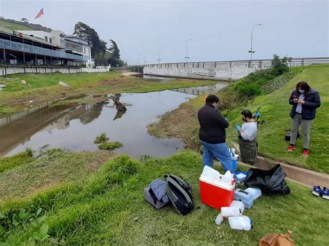 Estudio Upla Revela Ndices De Contaminaci N Por Sobre La Norma En