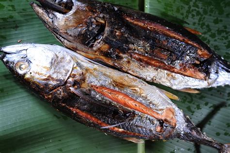 Ikan Asar Jayapura Papua Budaya Indonesia