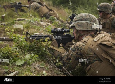 0311 Rifleman Hi Res Stock Photography And Images Alamy