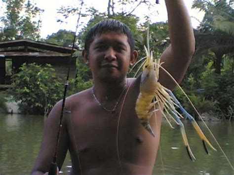 Fishing Adventurers In Brunei Waters Udang Galah Di Sungai Pendaruan